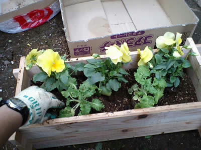 CA340069.jpg