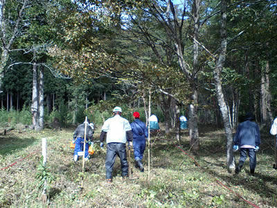 CA340046.jpg