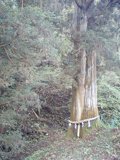 CA340070.jpg