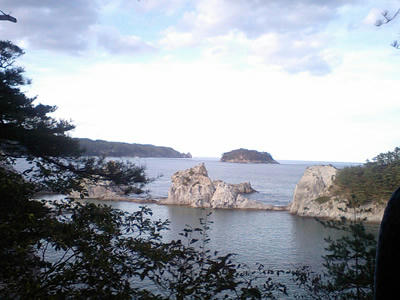 CA340081.jpg
