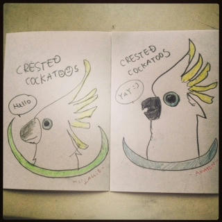 CRESTEDCOCKATOOS.JPG