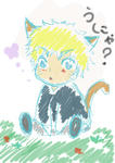 nyaruto.jpg