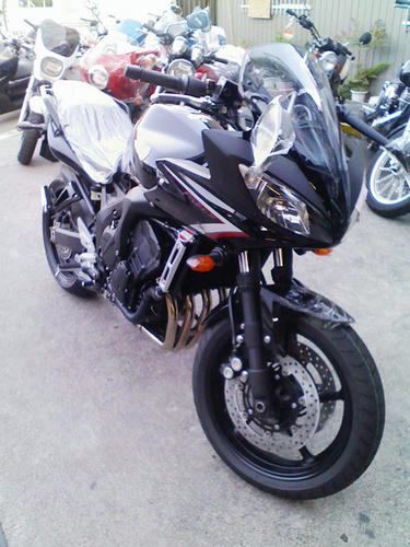 fz6.jpg