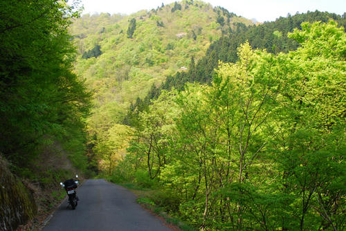 fukui.jpg
