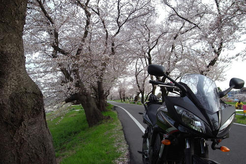 fz6s2.jpg