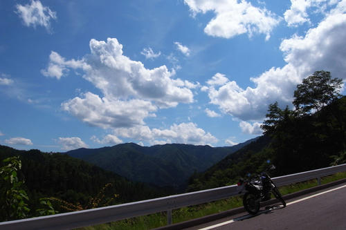 201179.jpg