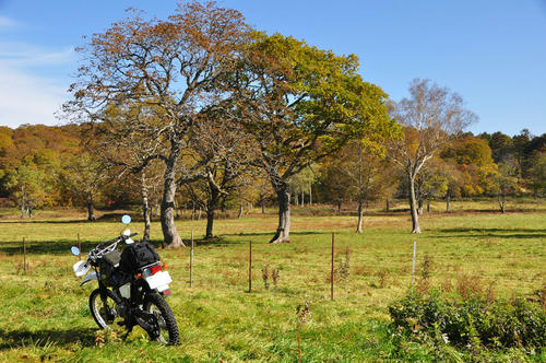 2011108.jpg