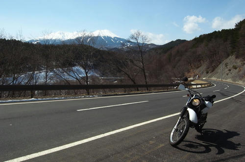 2011319.jpg
