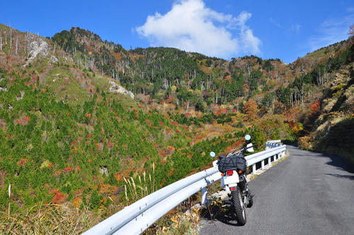 20111018.jpg