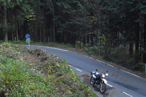 20111122.jpg