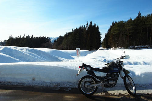 2011219.jpg