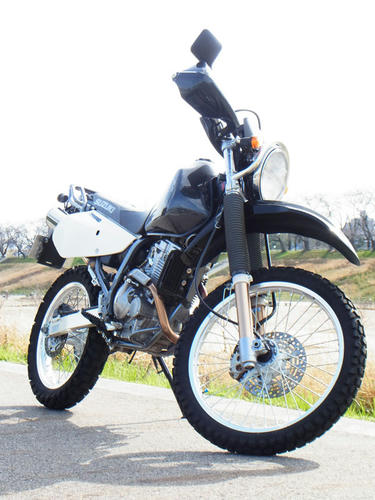 250xc.jpg