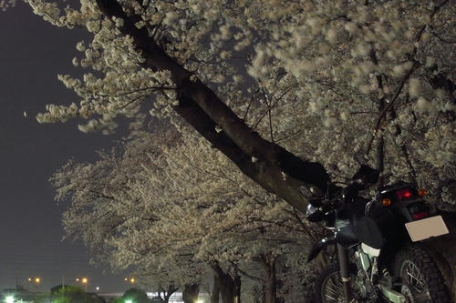 sa01.jpg