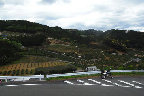 te03.jpg