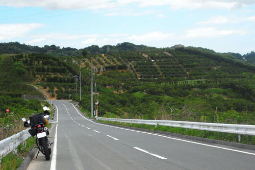 te06.jpg