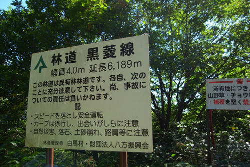 ha04.jpg