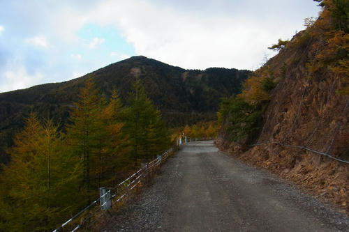 k020.jpg