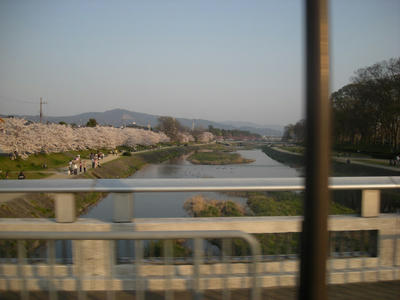 DSCN0308.JPG