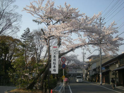 DSCN0307.JPG