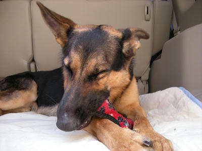 DSCN0026.JPG