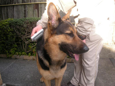 DSCN0314.JPG