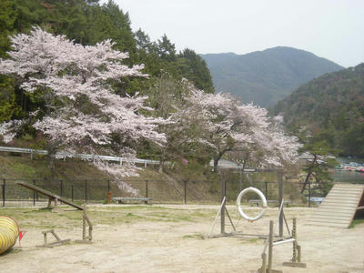 DSCN0317.JPG