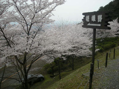 DSCN0321.JPG