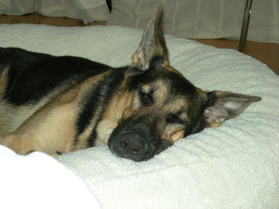 DSCN0046.JPG