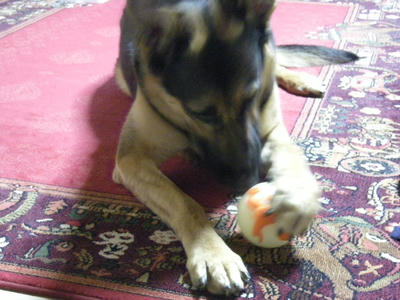 DSCN0110.JPG