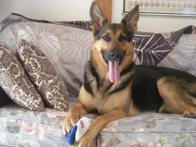 DSCN0357.JPG