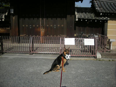 DSCN0366.JPG