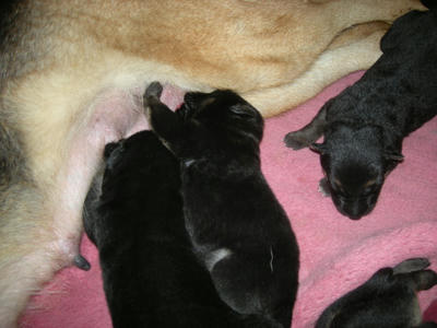 DSCN0371.JPG