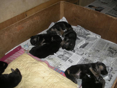 DSCN0375.JPG