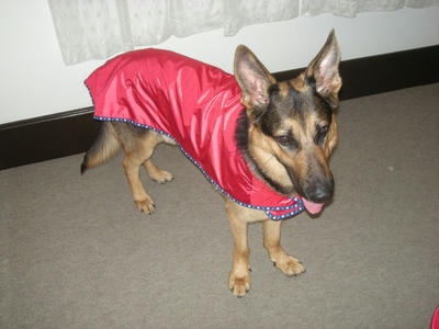 DSCN0382.JPG
