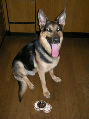 DSCN0397.jpg