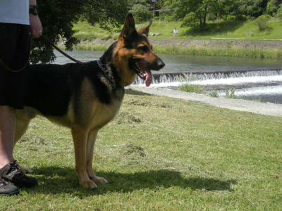 DSCN0389.JPG