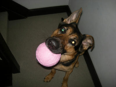 DSCN0138.JPG
