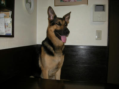 DSCN0417.JPG