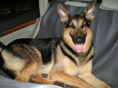 DSCN0422.JPG