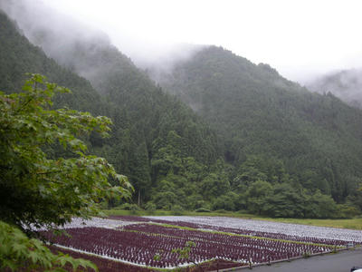 DSCN0421.JPG