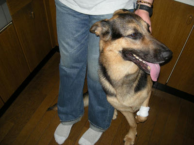 DSCN0423.JPG