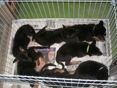 DSCN0426.JPG