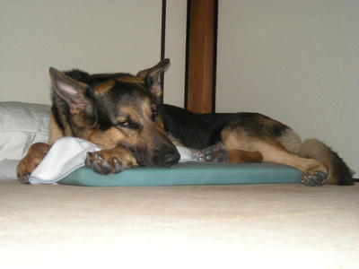 DSCN0433.JPG