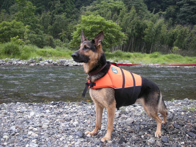 DSCN0454.JPG