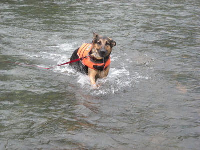DSCN0451.JPG