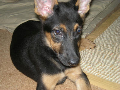 DSCN0618.JPG