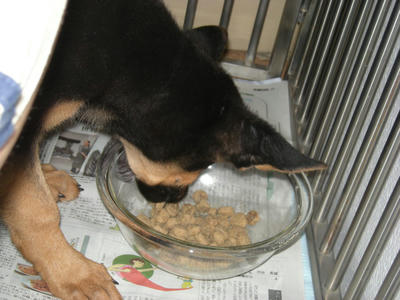 DSCN0610.JPG