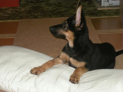 DSCN0633.JPG