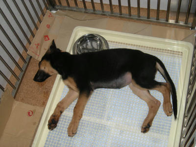 DSCN0644.JPG