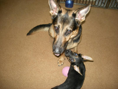 DSCN0664.JPG